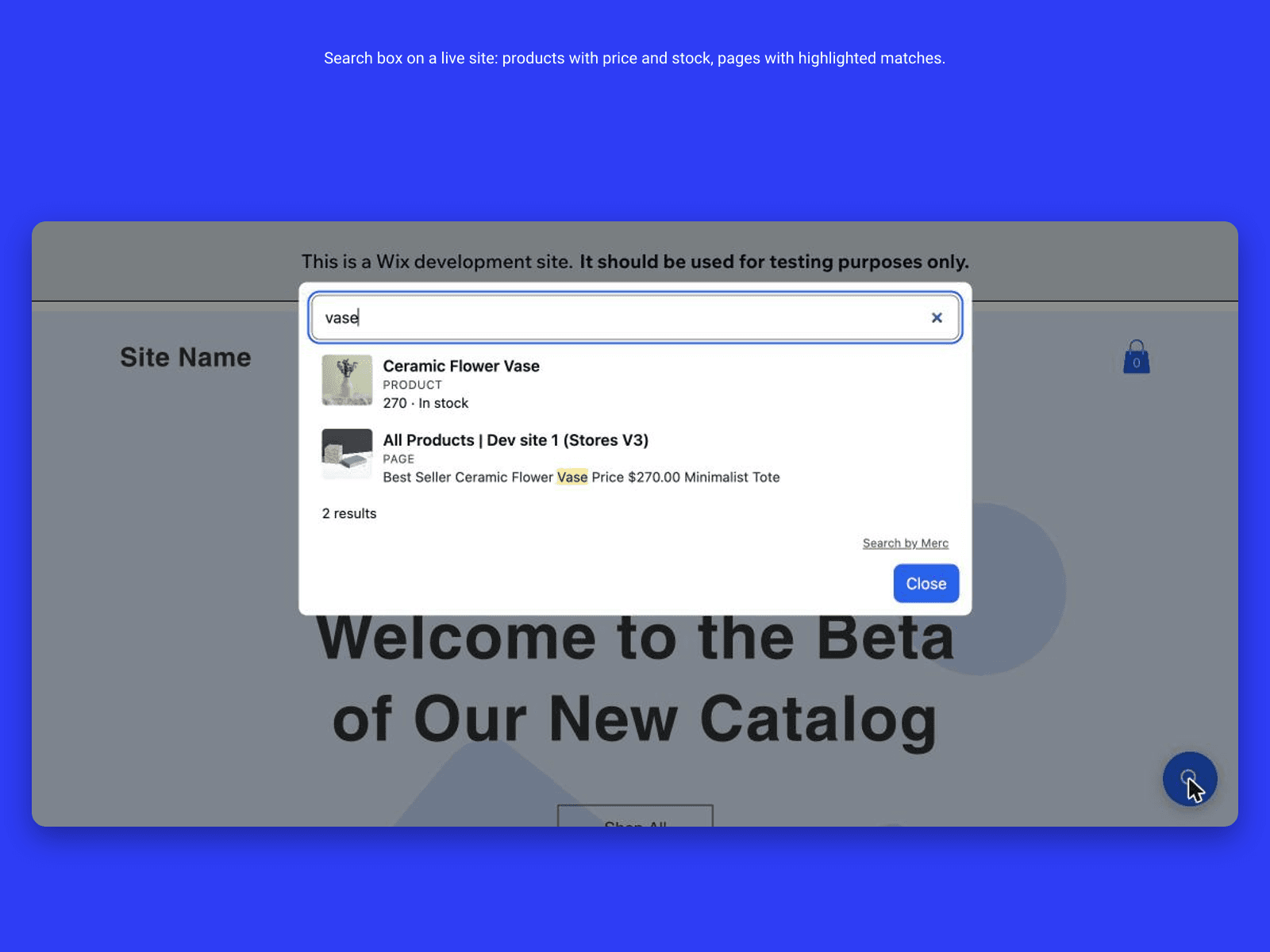 Search box open on a Wix store, showing products with image, price and stock status