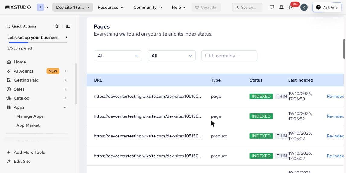 Pages table in the dashboard: each URL with its type, an Indexed status and the time it was last indexed